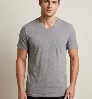 Goodfellow & Co. Men's Small T-Shirt Gray V-Neck Short Sleeve Tee Target NEW